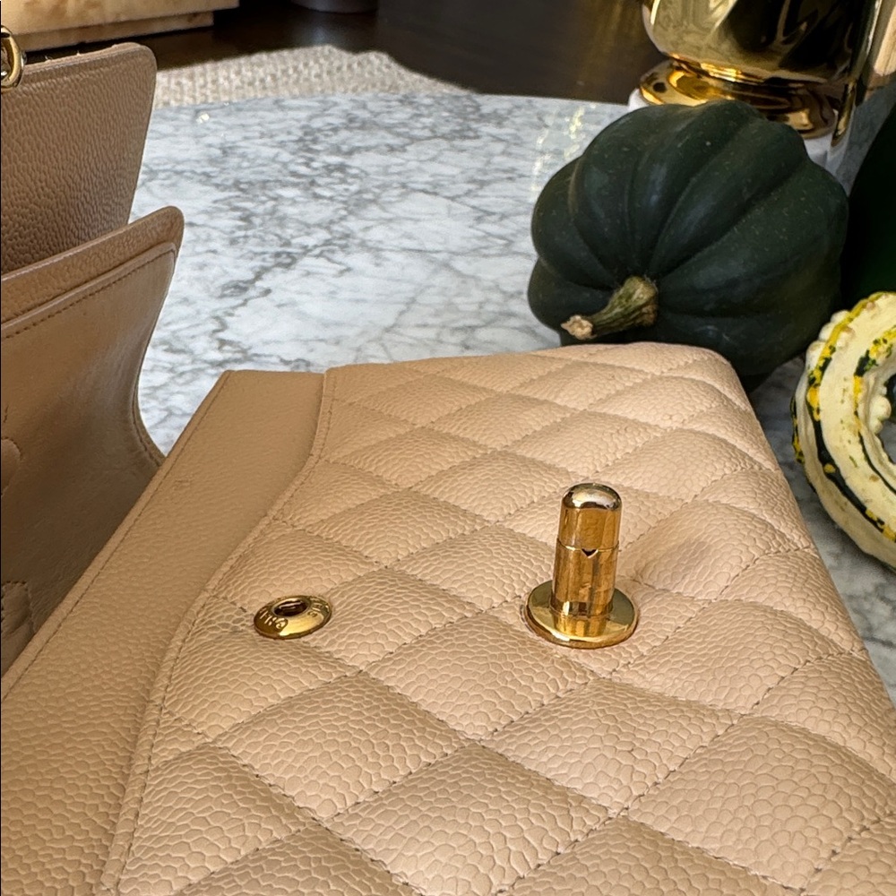 Chanel Beige Claire Medium Classic Flap GDHW Quilted Shoulder Bag - Picture 11 of 11